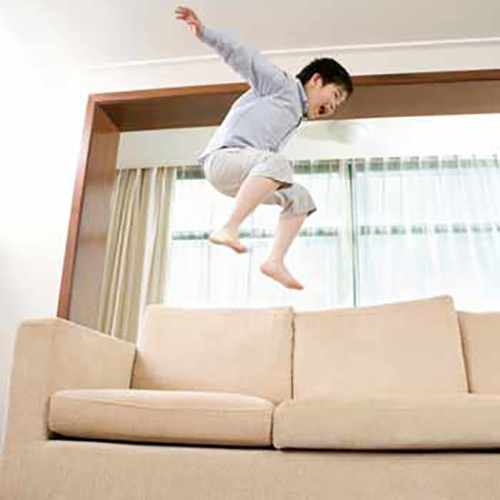 https://www.ultra-guard.com/wp-content/uploads/2022/09/img_jumping-on-couch_500px.jpg